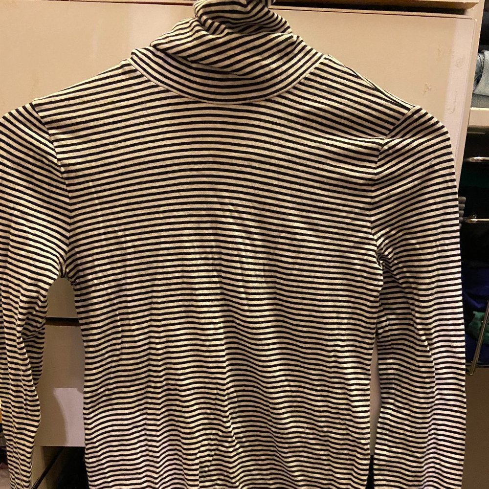 J-Crew Striped Turtle Neck